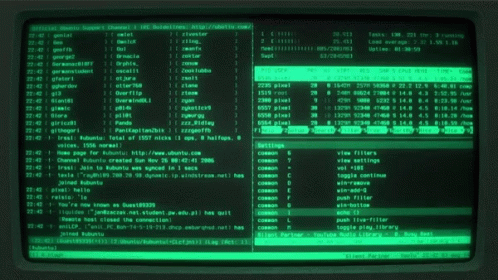 Vulnerability & Security Analysis