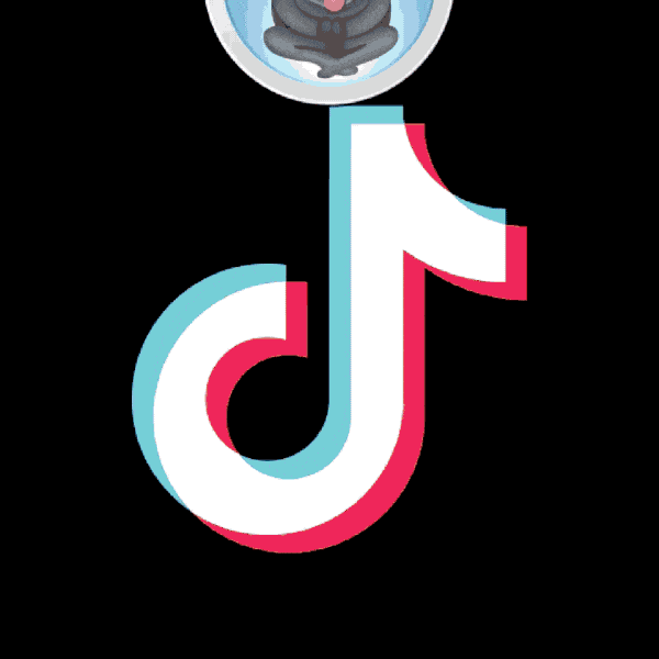 Animated Video Profile for Tiktok (or other) image 1