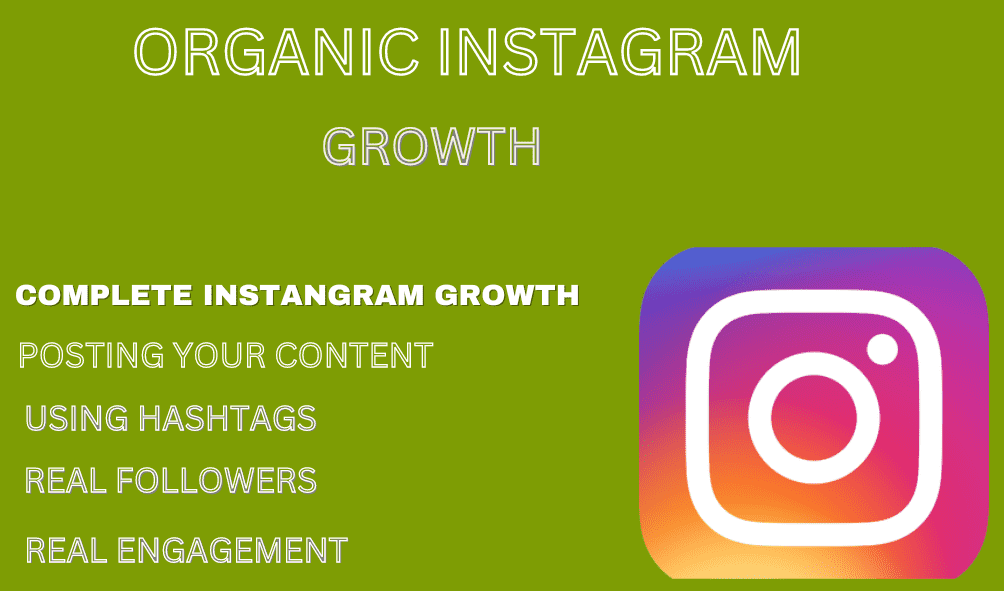 I will promote and manage to grow your instagram page organically