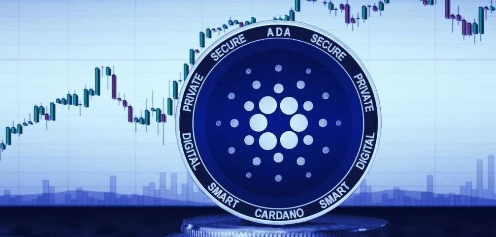 I will build a cardano stake pool, nft minting website