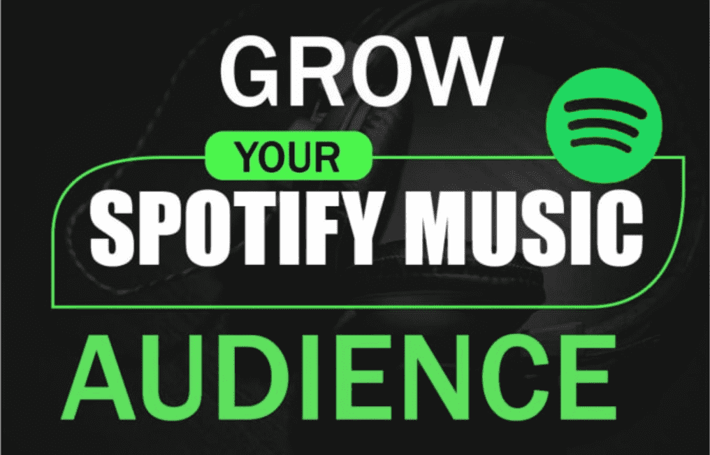 i will promote your spotify music organically  to spotify