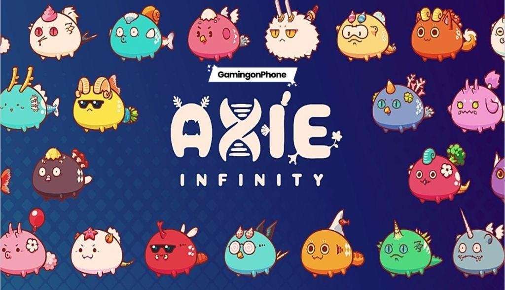 Axie Infinity Scholarship Application Form