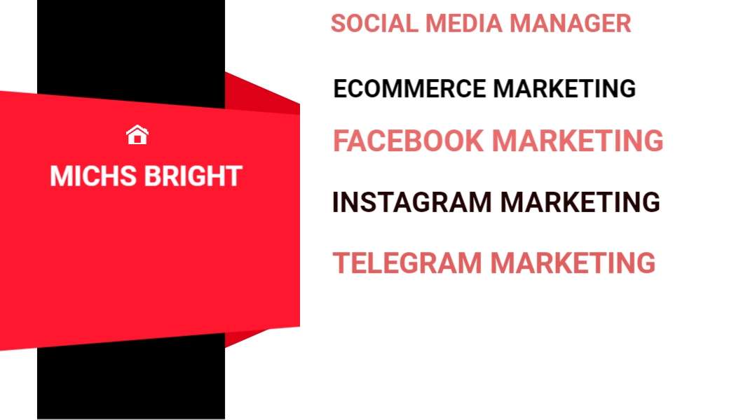 I will be social media manager, Ecommerce Marketing, facebook marketing, intagram ,telegram marketing