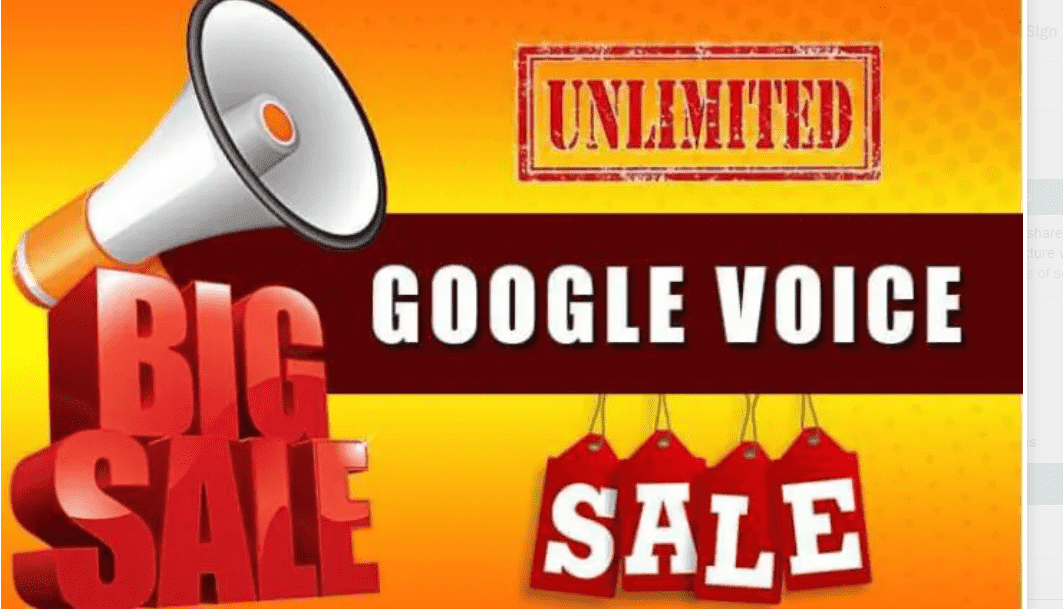 I will provide unlimited google voice {USA Number}