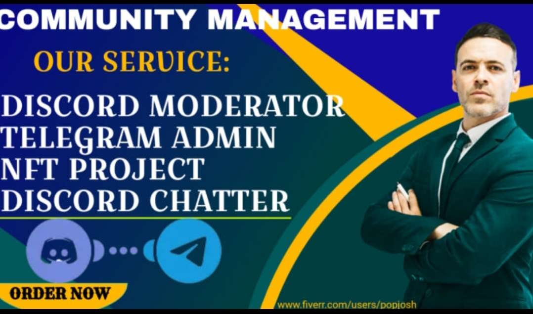 I will manage and promote your nft discord server Organically