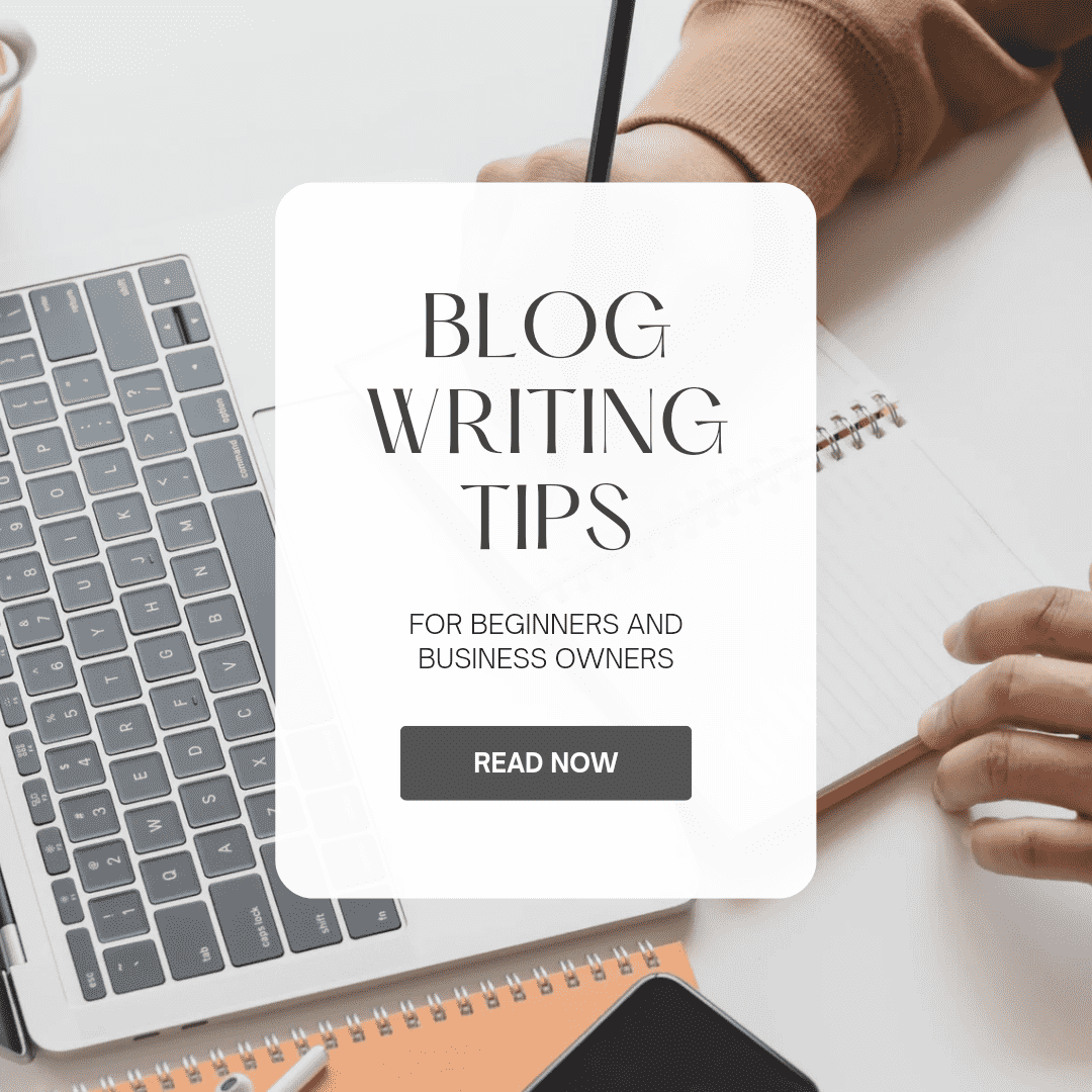 Article/Blog writer