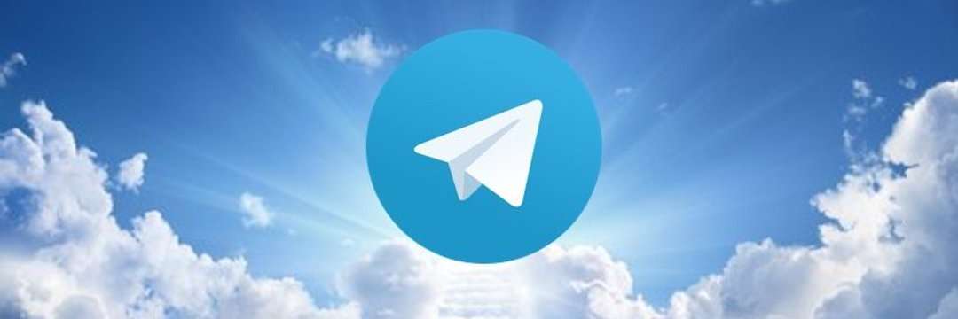 I can build your Telegram/Twitter bot with a crypto gateway payments.