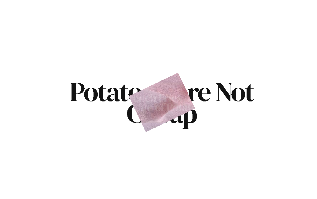 undefined image 4