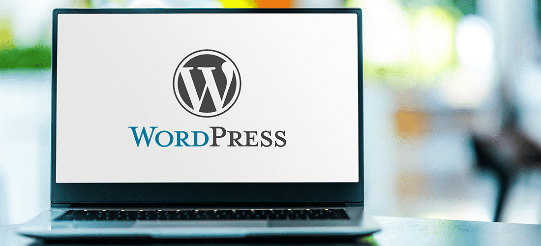 I Will Create Professional WordPress Website