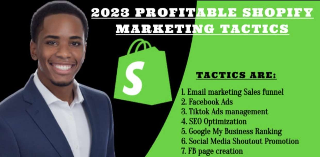 I will do ROI ecommerce Shopify marketing, Shopify promotion to boost sales