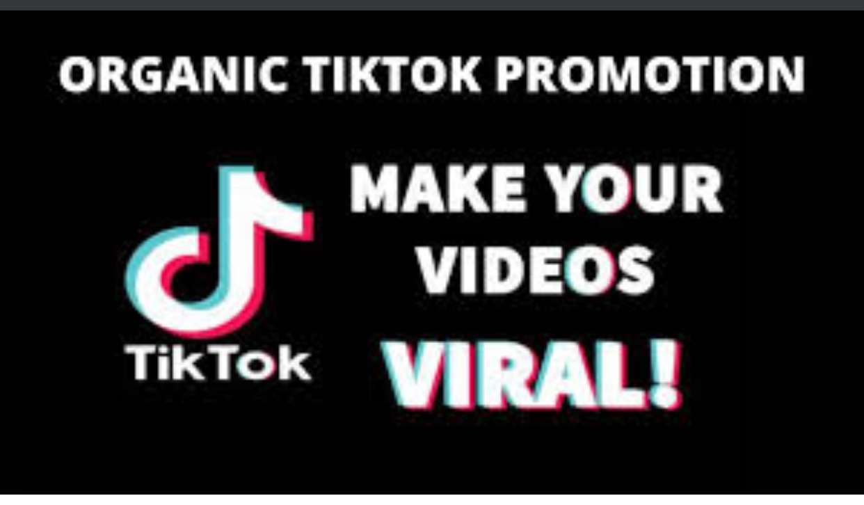 I will promote your TikTok to get 5k followers image 1