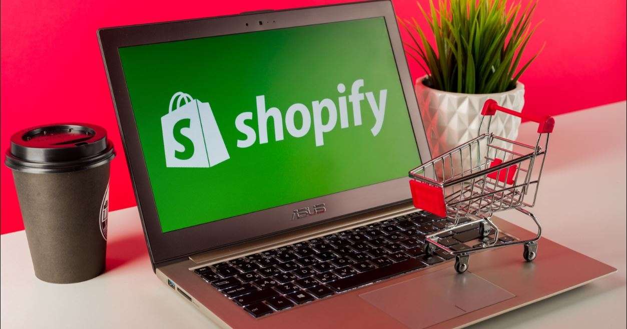 I will manage shopify dropshipping store, do ecommerce marketing promotion to get sale image 1