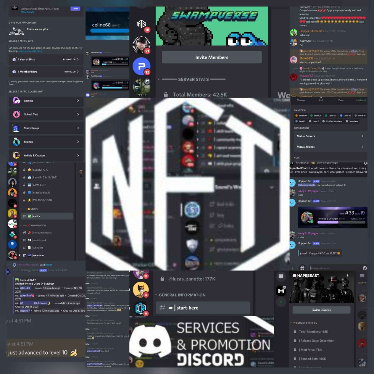 I will chat  and improve your  nft discord server