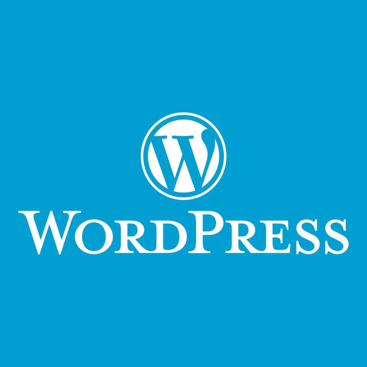 I make Wordpress website