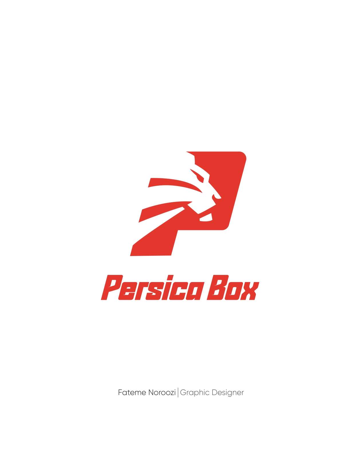 Professional logo and visual identity design
