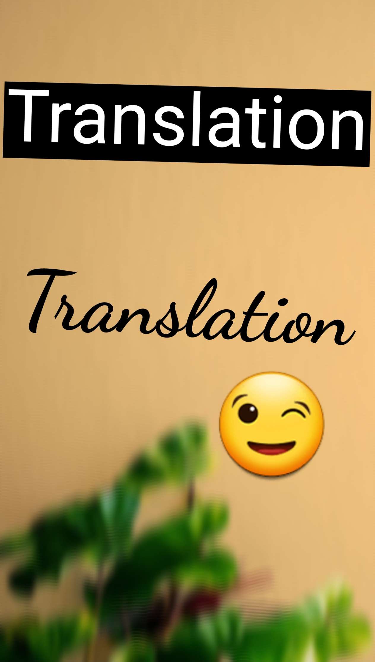 I will translate your texts into English or Arabic