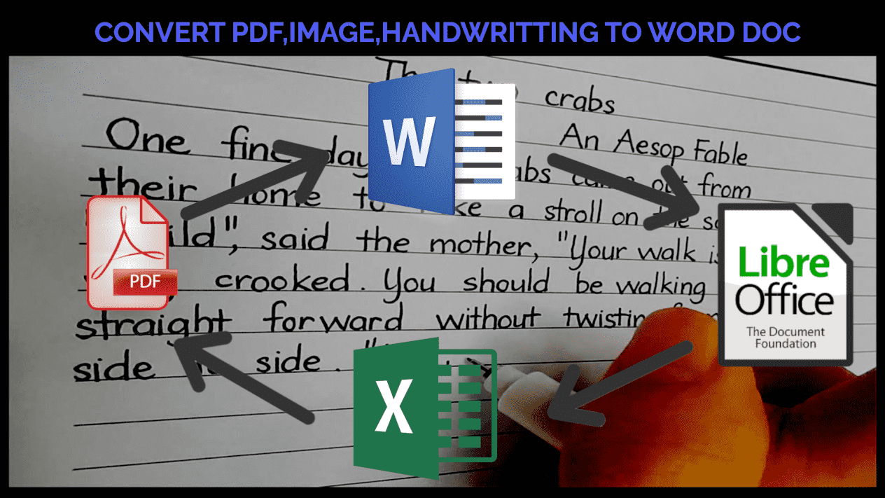 I will type 1000 words from any file to a word document.