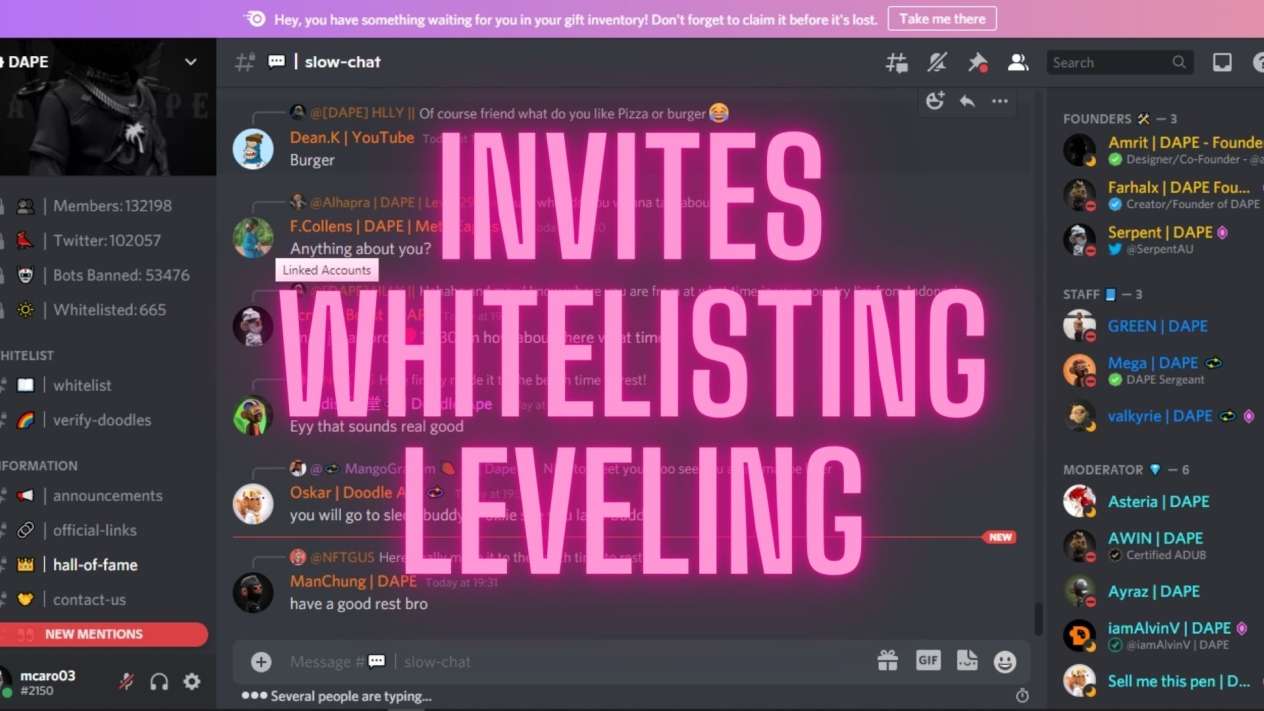 Whitelisted on Discord Server