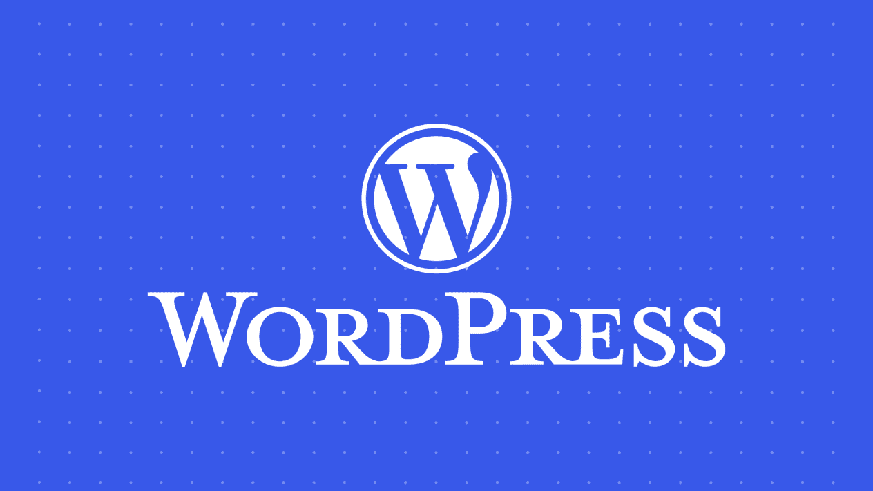 Installation and professional setup for WordPress
