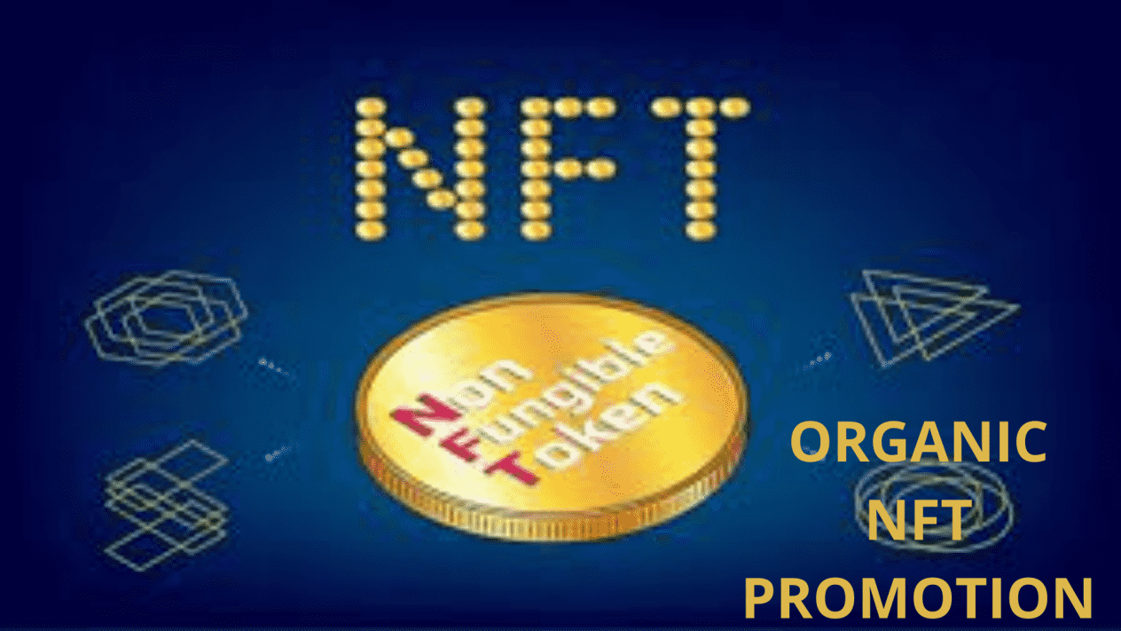 I Will Do Organic NFT Discord Server Promotion