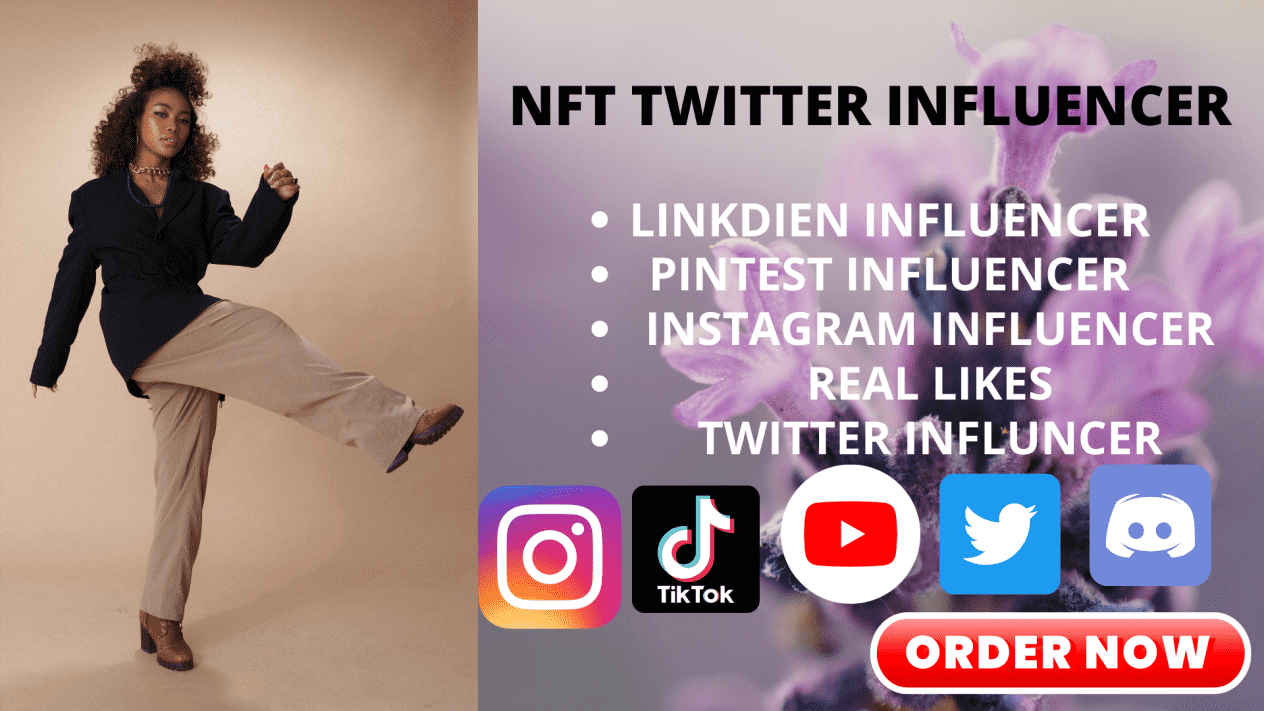 I will do a great NFT or crypto influencer for twitter, Instagram, YouTube, Facebook e.c.t for you