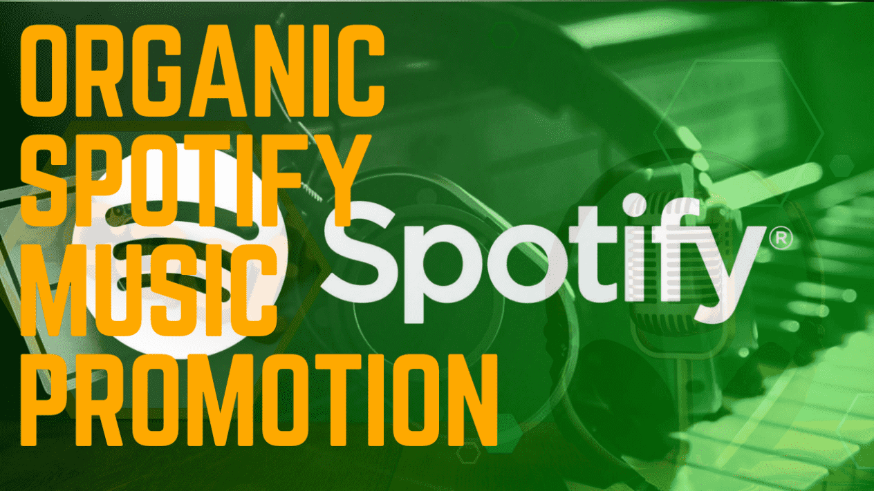 I will organically promote your spotify musics to a huge number of audience