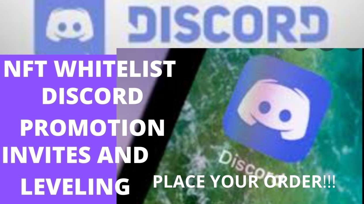 I will design a NFT Discord server BOT for you