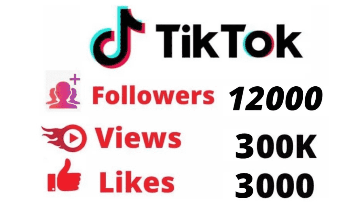 12000 TikTok Followers + 300K Tik Tok Views + 3000 TikTok Likes