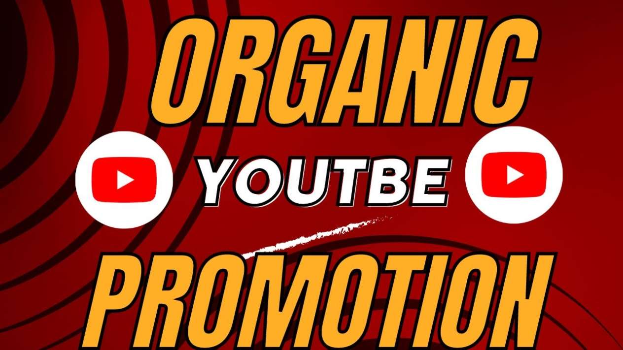 do organic USA youtube promotion for complete channel monetization