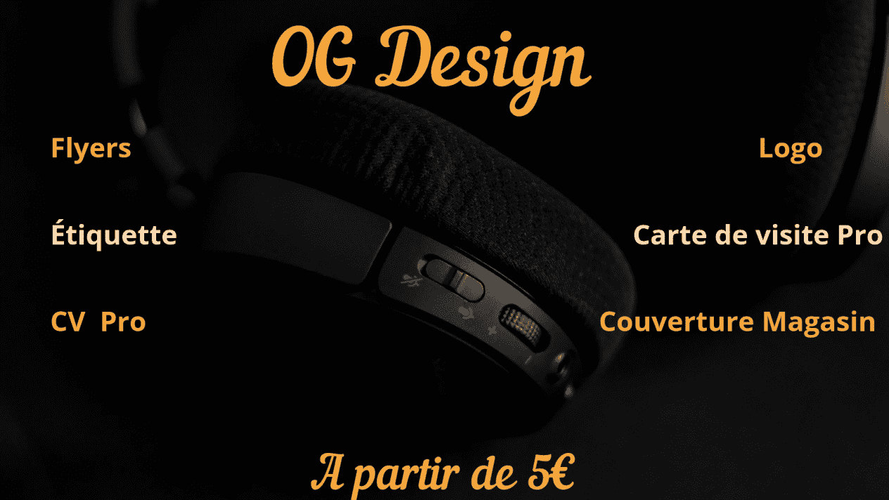 I will provide you with 2 logos,2 flyers, 2 catalogs, 2 menus, 1magazine covers or 1 CV pro from $30