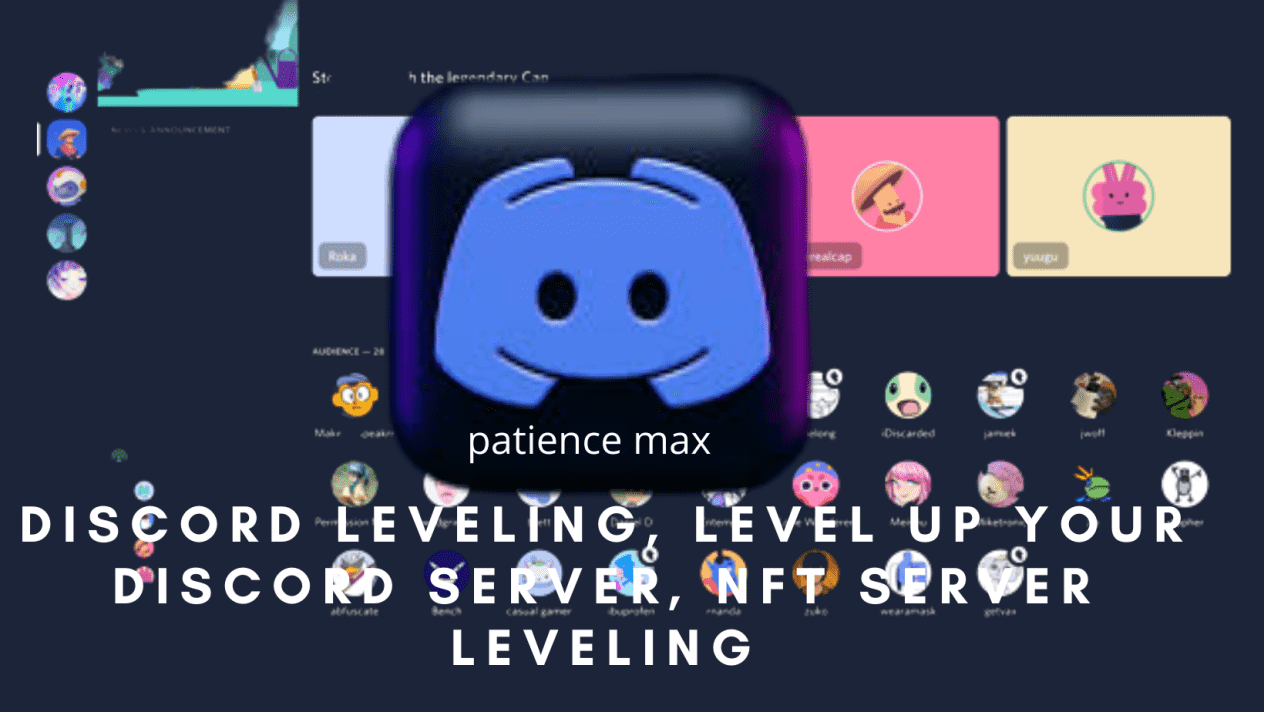discord leveling, level up your nft discord server