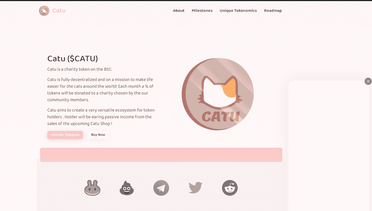I will create crypto currency token website
