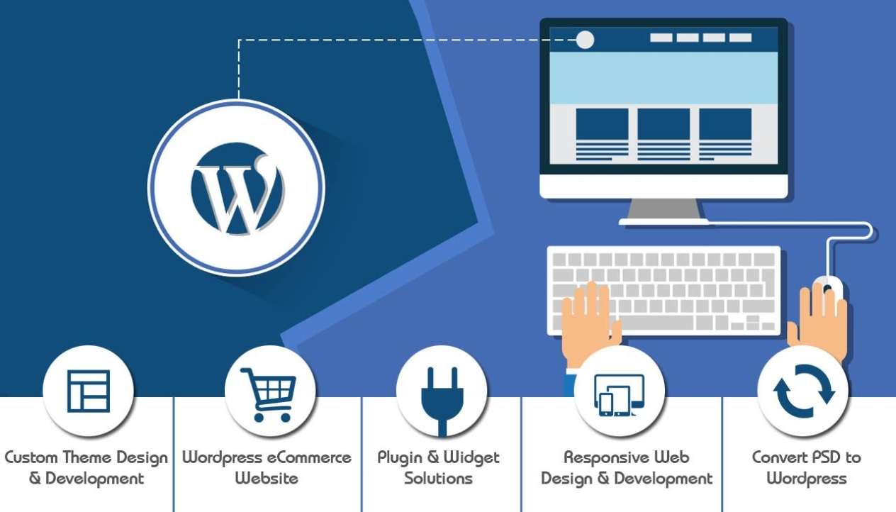I will create wordpress, e-commerce website