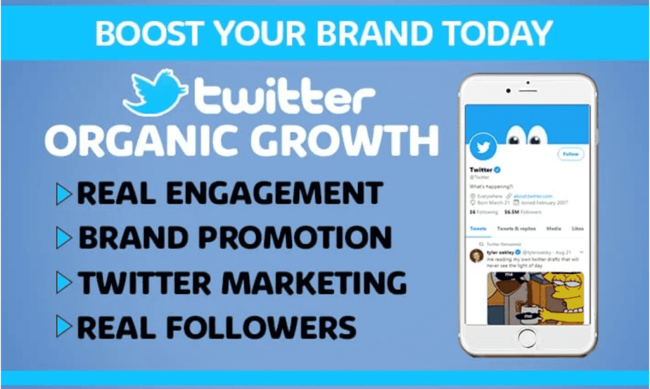 I will do fast organic twitter growth and nft promotion