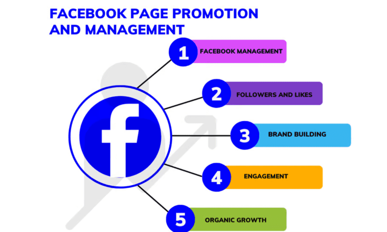 I will grow your facebook page following and engagement fast organically