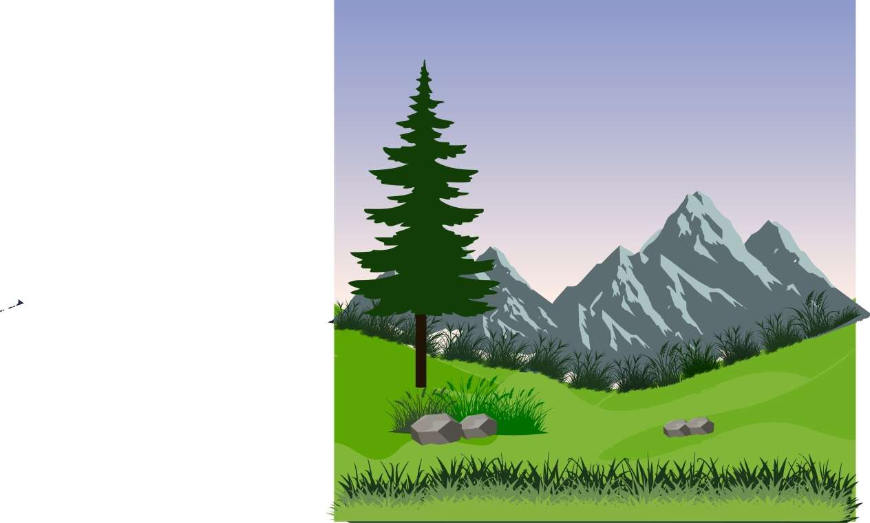 I will design stunning digital landscape illustrations for your project*