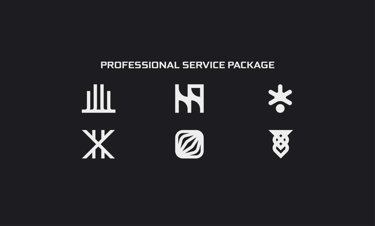 Get a Logo Design with Core Brand Elements (Professional Package).