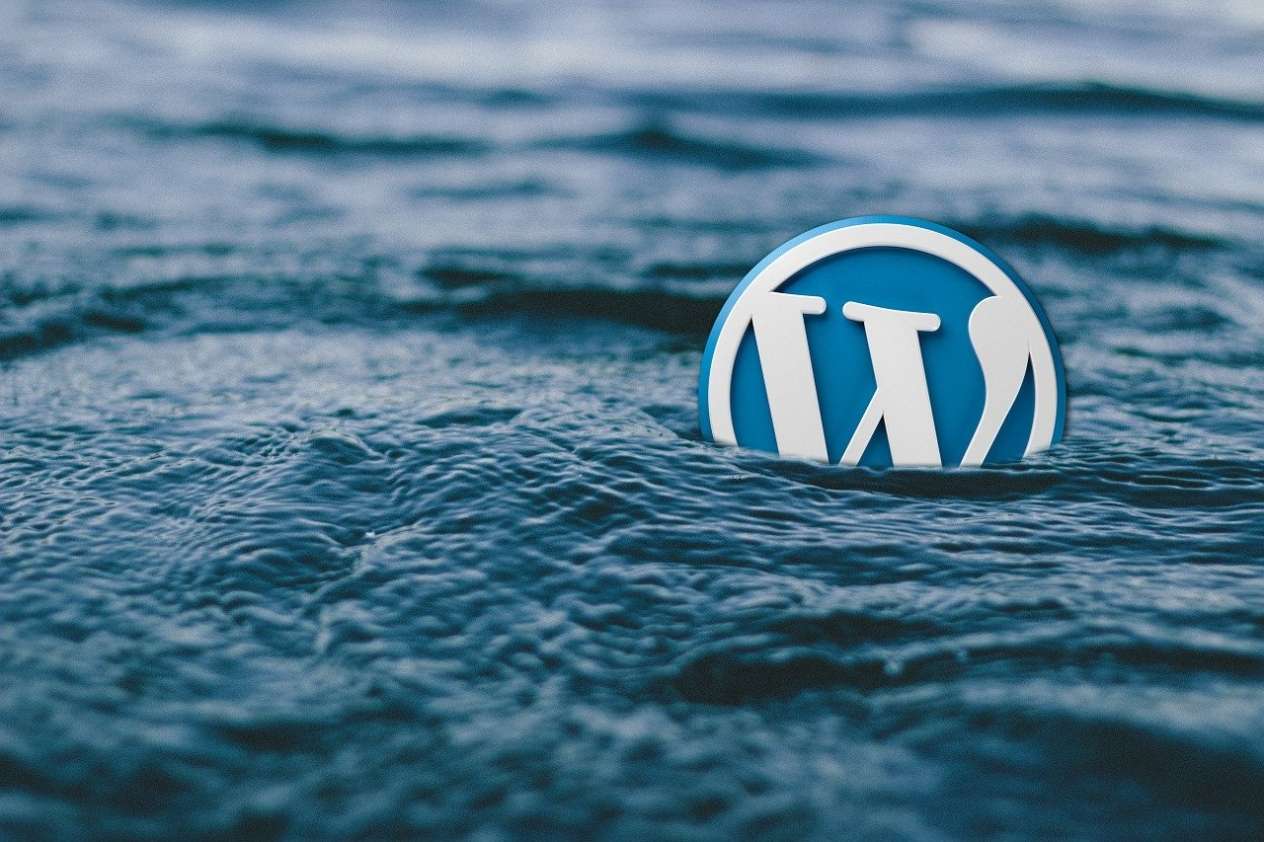 Stunning WordPress Website Creation – Fast, Modern, and SEO-Friendly