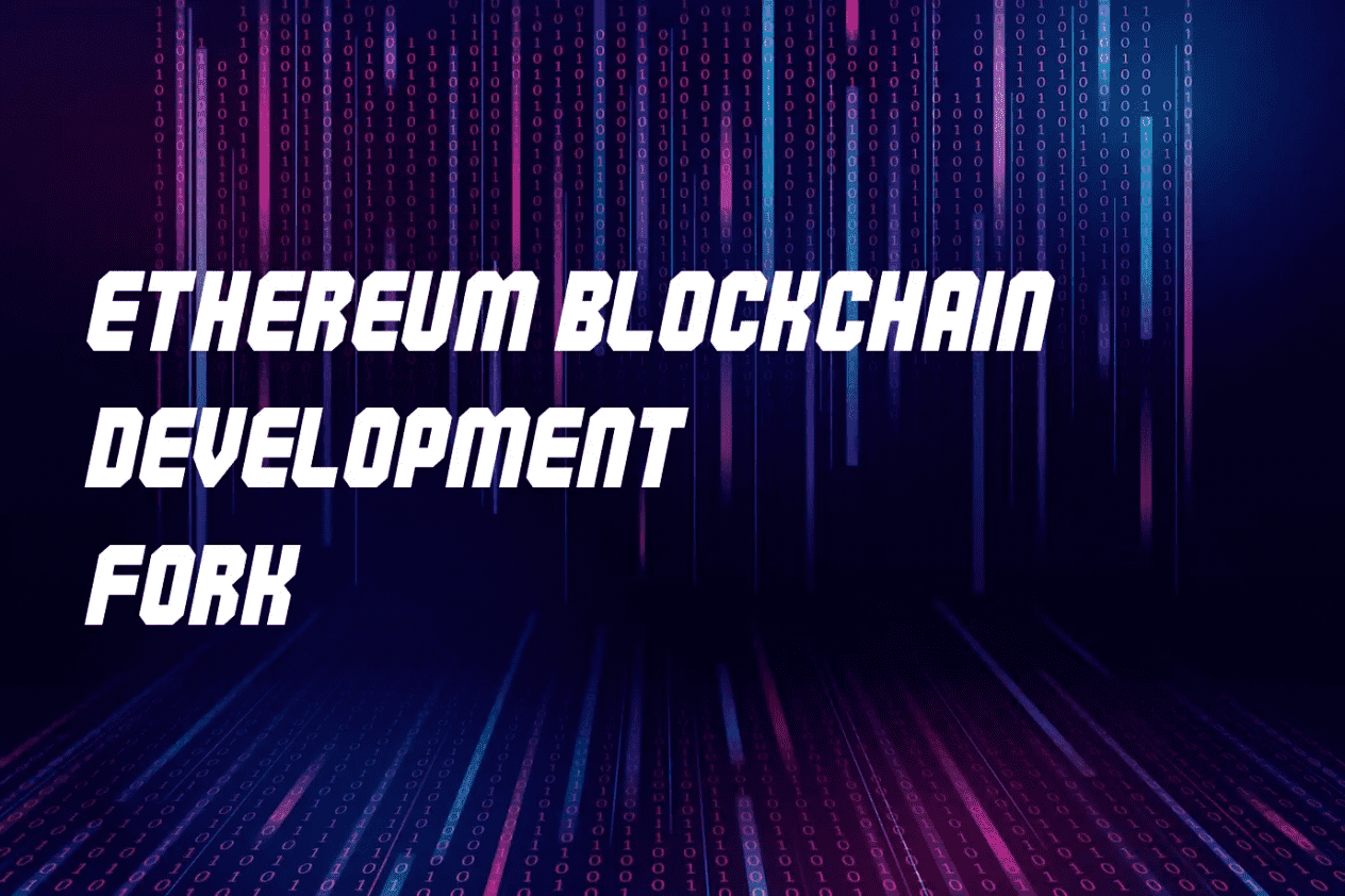 EVM Blockchain Development + scanner