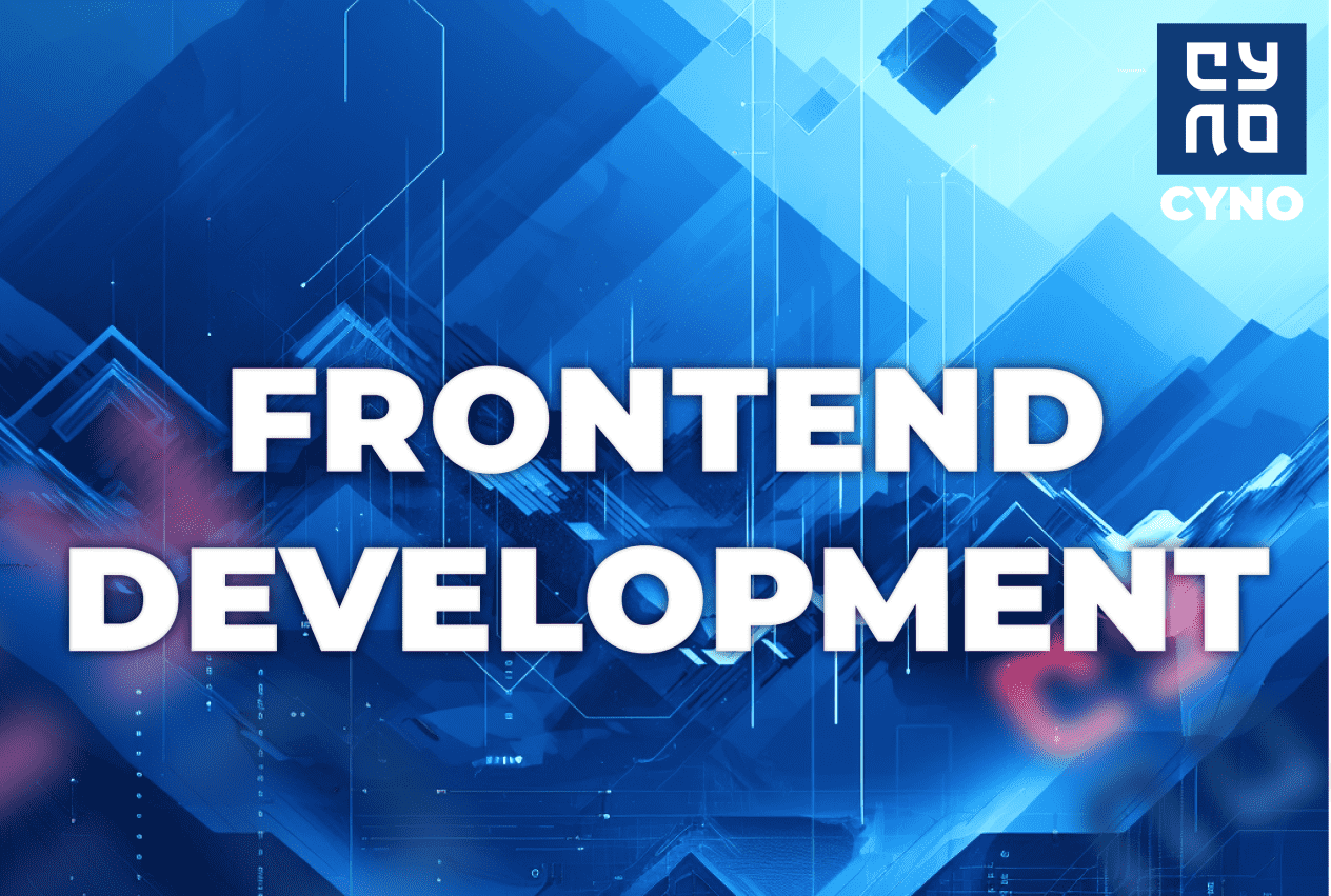 Professional frontend development