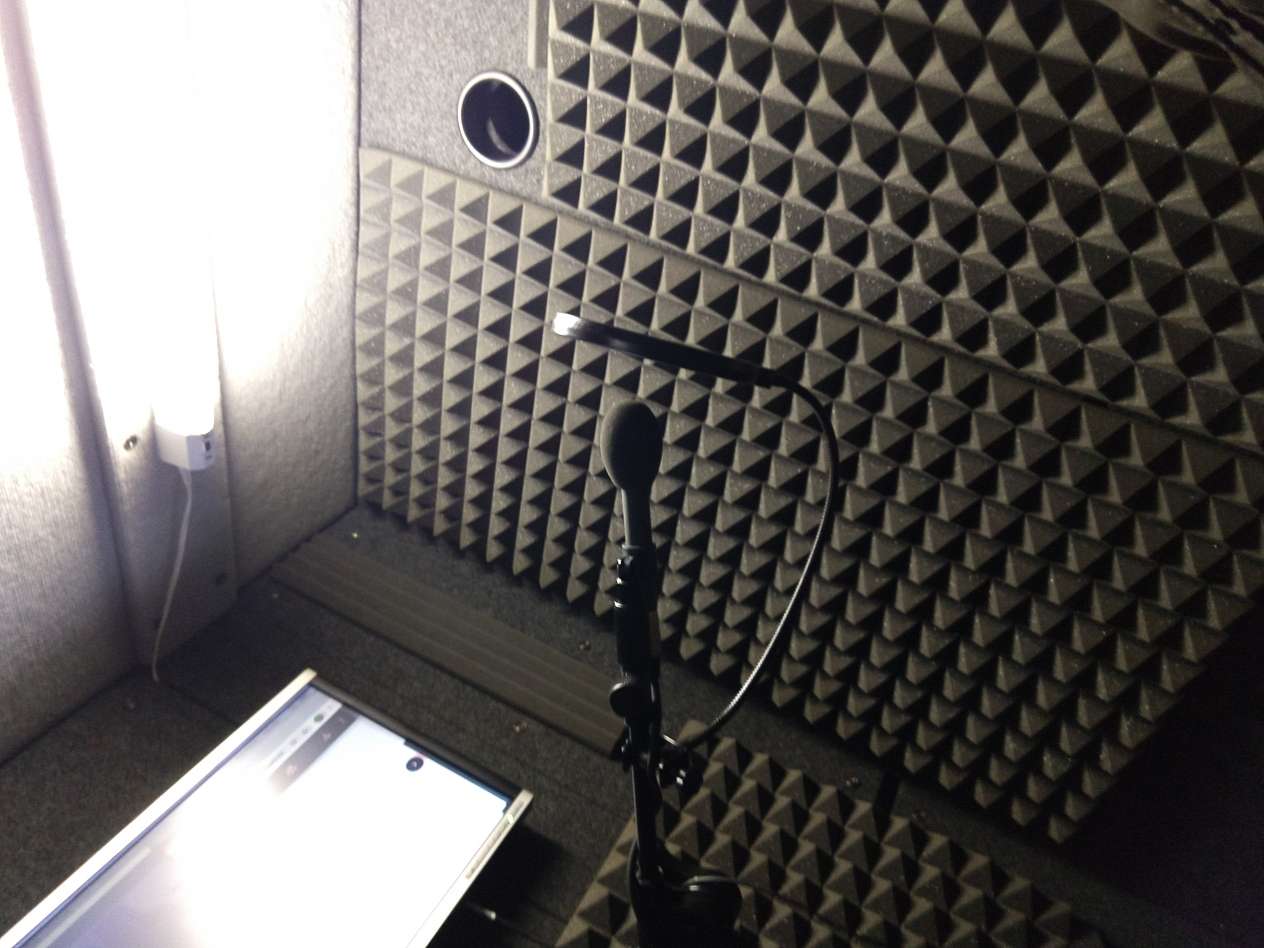 I will record a professional male spanish voice over image 3