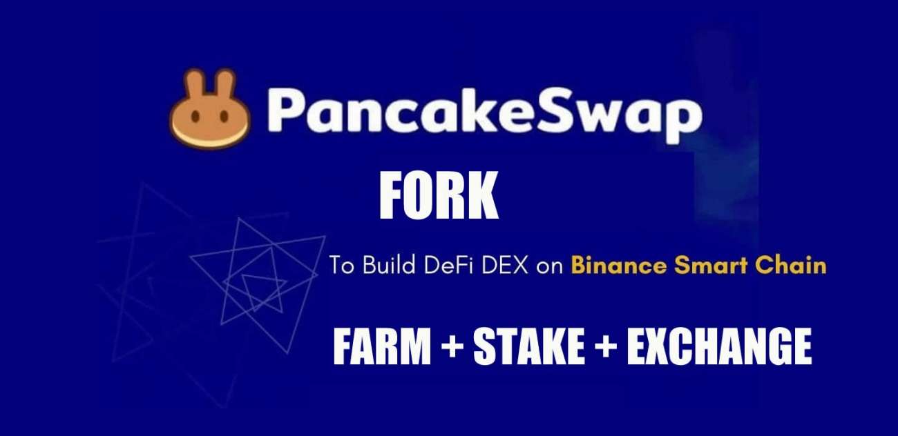 I will Clone Pancakeswap, Dex and Defi (Demo link available)