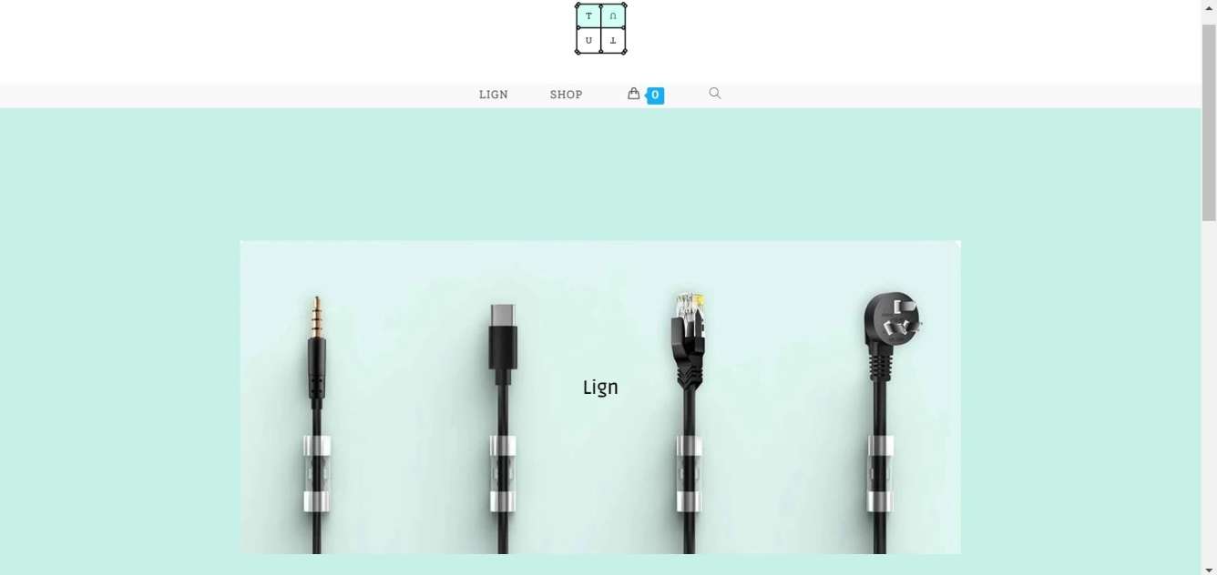 Immersive WordPress website design