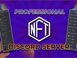 I will do nft discord, nft discord wl, discord server