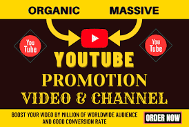 I will organic youtube live stream video promotion