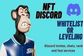 I will do fast discord levelling, whitelist, discord invites