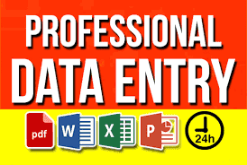 professional data entry expert image 1