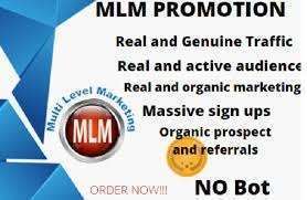 I will mlm promotion, mlm leads, mlm traffic