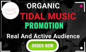 I will organic tidal music promotion tidal music promotion
