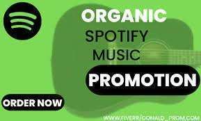 I will promote spotify music through organic campaign setup image 1